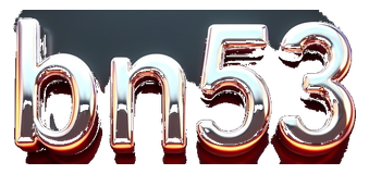 bn53 logo